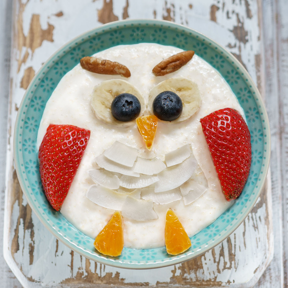 Fruit & Nut Rice Pudding Wise Owl